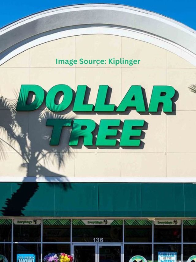https://writool.com/news/wp-content/uploads/2023/11/11-Best-New-Items-Coming-to-Dollar-Tree-This-Winter.jpg