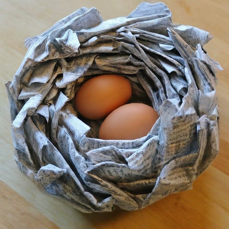 199+ Creative Egg Drop Project Ideas Without Breaking for Students