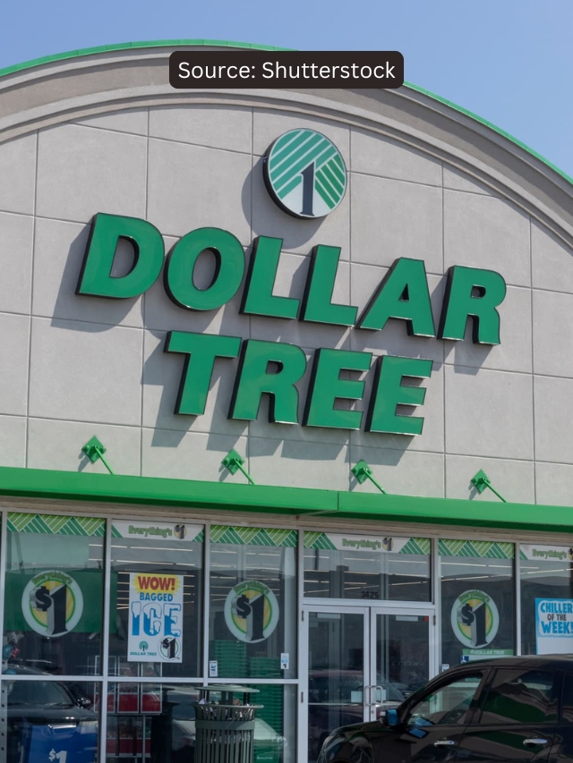 7 Dollar Tree Items Retirees Need To Buy Ahead of Fall 2024